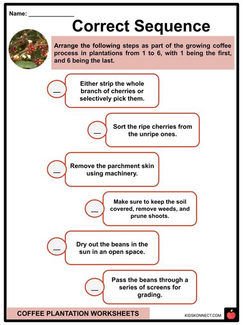 coffee plantation worksheets cultivation  coffee harvesting