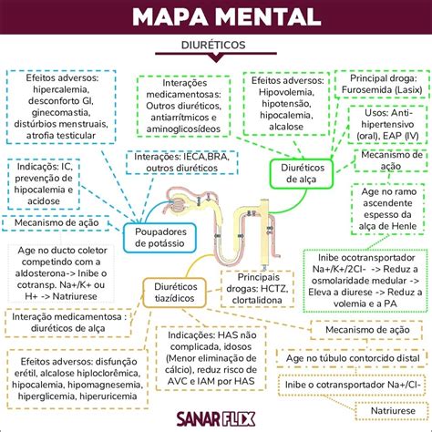 Mapas Mentais Sobre Diureticos Study Maps