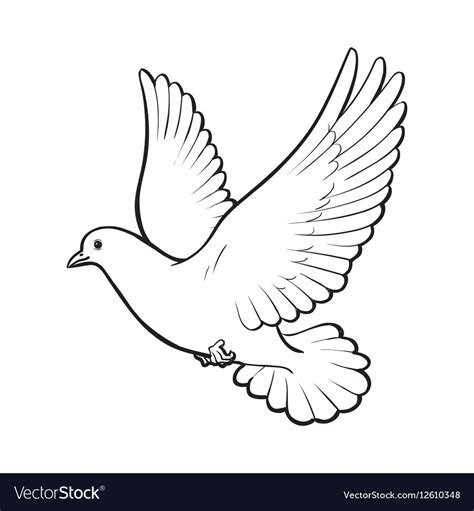 Free Flying White Dove Isolated Sketch Style Vector Image