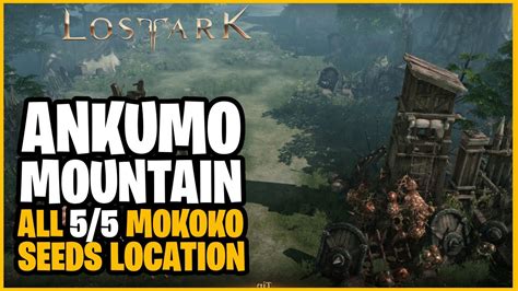 Ankumo Mountain All 5 5 Mokoko Seeds Location Lost Ark YouTube