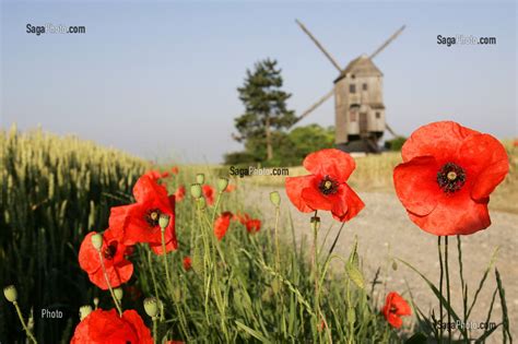 Photo De MOULIN A VENT PRES D UN CHAMP DE COQUELICOTS YMONVILLE EURE