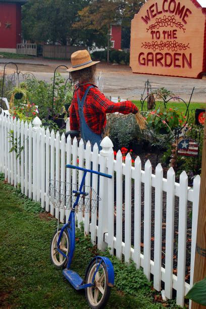 Amish Scooter Stock Photos Pictures And Royalty Free Images Istock