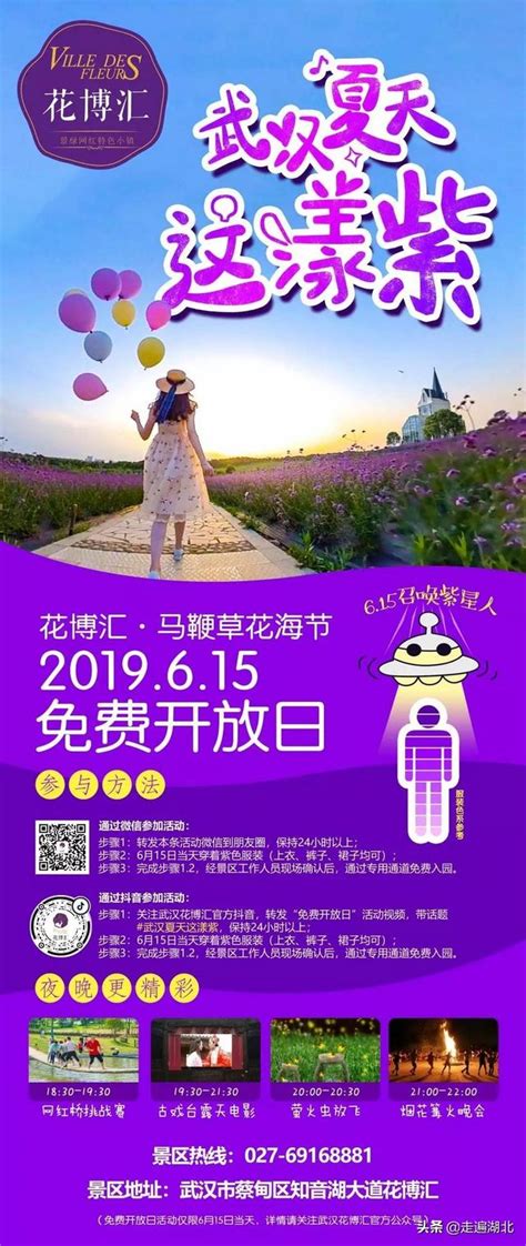 花博匯馬鞭草花海這漾紫，6月15日免票入園 每日頭條