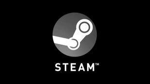 Steam Startoptionen öffnen festlegen so geht s