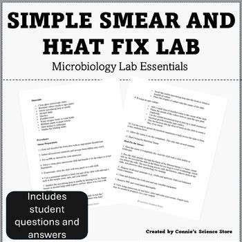 Simple Smear And Heat Fix Lab For Microbiology With Student Questions