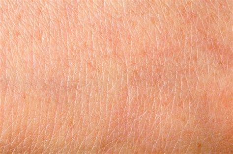 Royalty Free Human Skin Texture Pictures Images And Stock Photos Istock