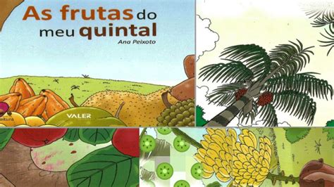 As Frutas Do Meu Quintal Frutas Regionais Hist Ria Infantil