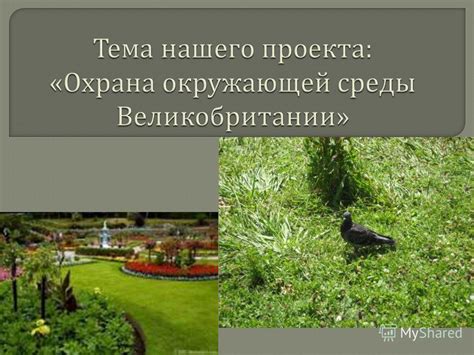 Презентация на тему: "Что такое окружающая среда ? Как по - английски ...
