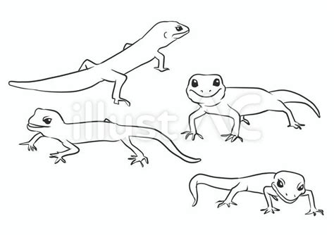 Free Vectors | Leopard gecko line drawing