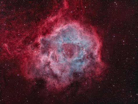 Rosette Nebula In Different Color Palettes R Astronomy