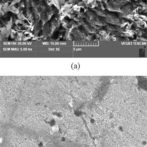 SEM Micrographs Of Mild Steel Surface After Immersed In 0 5 M H 2 SO 4