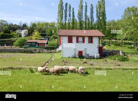 Basque Architecture Hi Res Stock Photography And Images Alamy