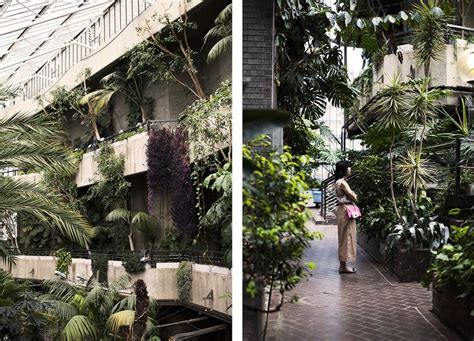 Barbican Conservatory | Barbican conservatory, Conservatory, Barbican