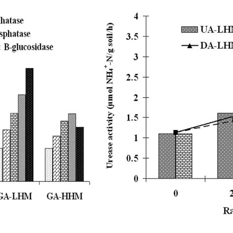 Enzymatic Activities A Aryl Sulphatase Phosphatase β Glucosidase