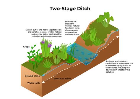 Agricultural Runoff Diagram