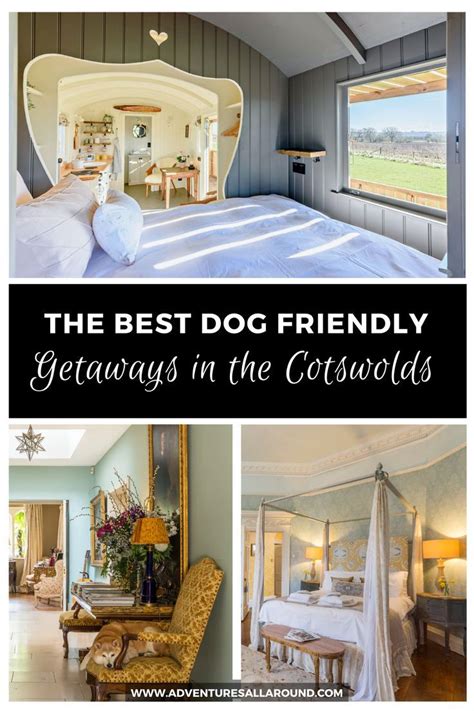 Dog Friendly Cottages In The Cotswolds 12 Great Ways To Stay Artofit