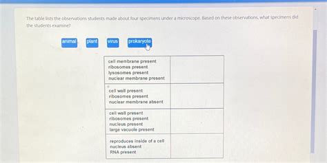 Solved The Table Lists The Observations Students Made About Four