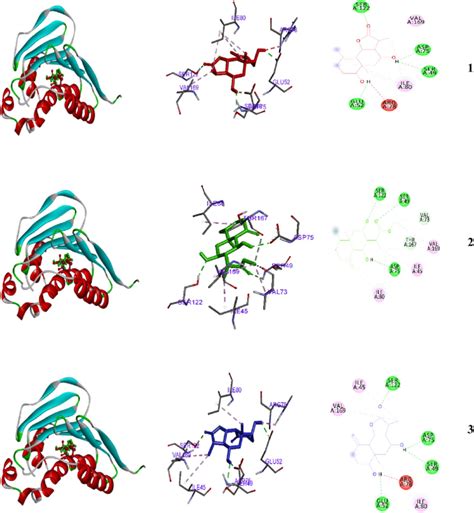 2D And 3D Representations Of The Predicted Binding Modes Inside The