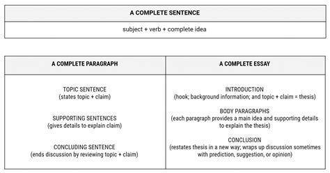 composition basic essay structure synthesis