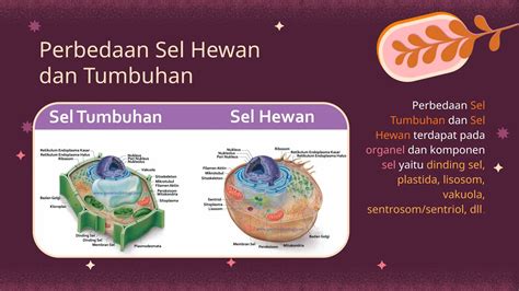 perbedaan sel tumbuhan  sel hewan beserta bagian bagiannya