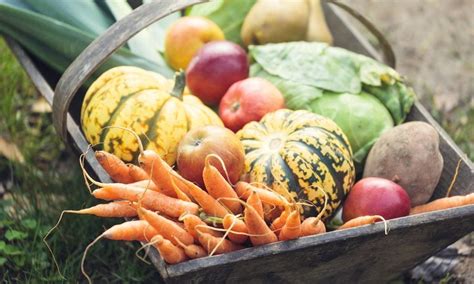 Qu Frutas Y Verduras Puedes Cultivar En Tu Huerto En Oto O Foto