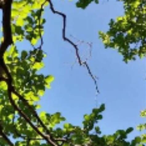 Con El Empleado Free Gay Porn Video Xhamster