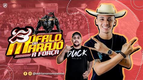 SET AO VIVO BÚFALO DO MARAJÓ A FORÇA DJS ADRIANO E TONINHO VILA