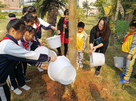 新民小学2018年植树节活动