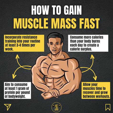 How To Gain Muscle Mass Fast In 2024 Gain Muscle Mass Abs And Cardio