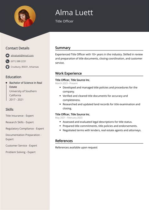 Title Officer CV Examples Template 20 Tips