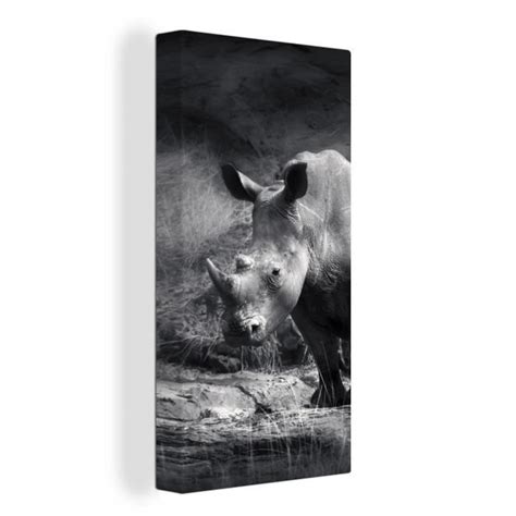 MuchoWow Tableau sur Toile Portrait 40x80 cm Rhinocéros Nature