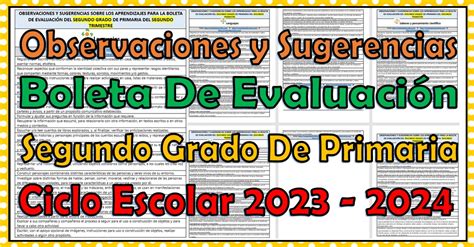 Observaciones y sugerencias para la boleta de evaluación del segundo