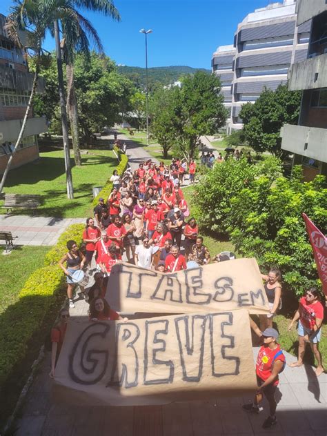 Mobiliza O Forte E Crescente T Cnicos Da Ufsc Fazem Balan O Da