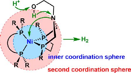 Coordination Sphere Illustration Of A Ni Based Molecular Catalyst And