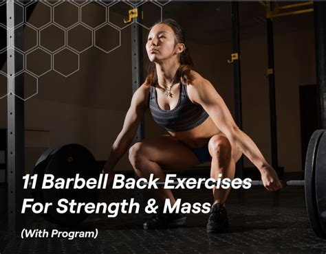 11 Barbell Back Exercises For Strength And Mass With Program Fitbod