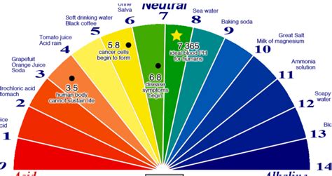 How To Test Ph Levels In Blood: A Comprehensive Guide • Suggested and ...