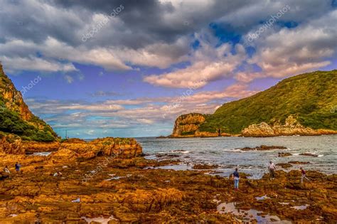 Hermosa Knysna rocosa se dirige en la ruta del jardín en Western Cape