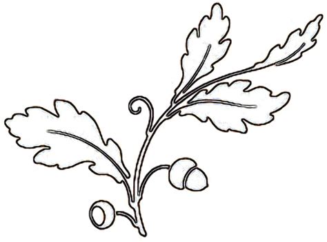 Free Autumn Leaf Outline, Download Free Autumn Leaf Outline png images, Free ClipArts on Clipart ...