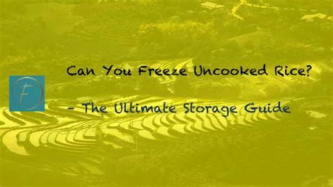 Can You Freeze Uncooked Rice The Ultimate Storage Guide Fork And Spoon Kitchen