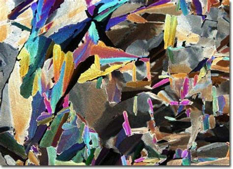 Glutamic acid - CAMEO