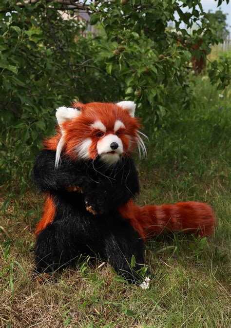 Red Panda Ooak Collectible Plush Toy Etsy