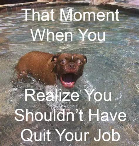 Quitter Meme Yolopez