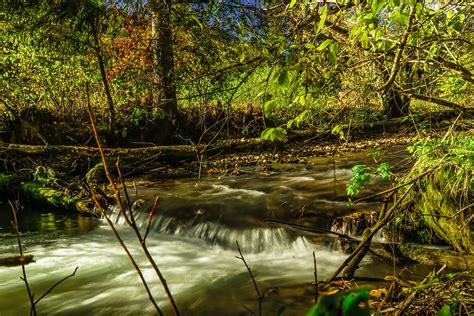 Alles Flie T Im Goldenen Herbst Everything Flows In Gold Flickr