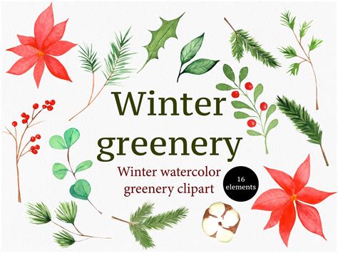 Winter Greenery Clipart Watercolor Winter Clipart Watercolor Greenery ...