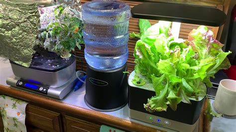 Aerogarden Custom Aerovoir Water Tank System Splitter Modded For Two