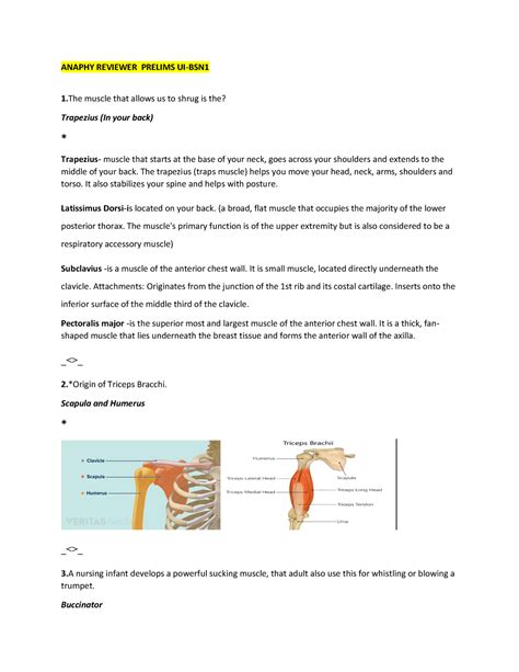 Anaphy Reviewer Prelims Anaphy Reviewer Prelims Ui Bsn 1 Muscle