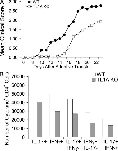 Eae Induced By Adoptive Transfer Of Mog Specific Th Cells Is