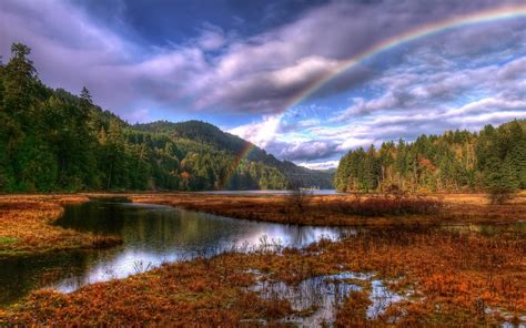 Landscapes Sky Rainbow Trees Wallpapers Hd Desktop And Mobile