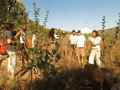 Instituto de Permacultura Ecovida São Miguel Agroecologia em Rede