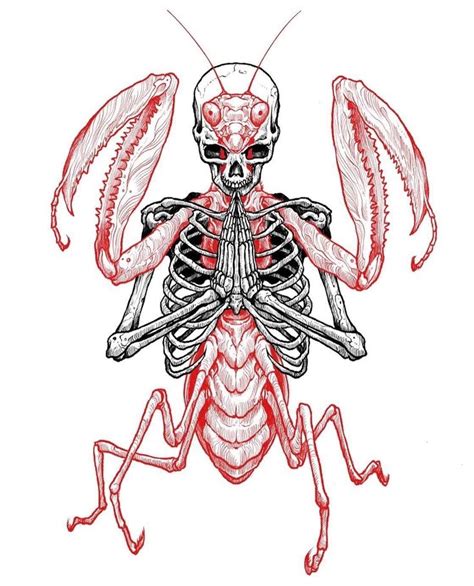 A Red And White Drawing Of A Praying Mantissa With An Alien Like Body